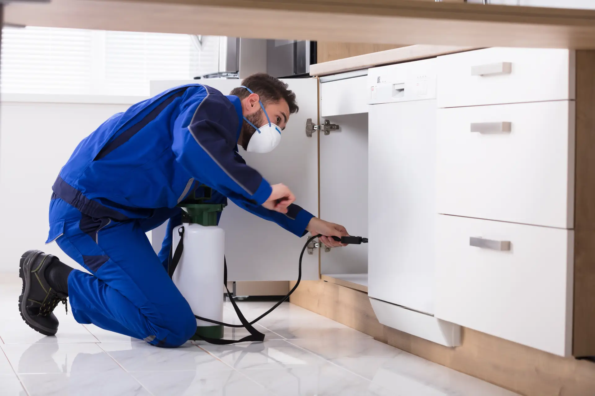 Local SEO for Pest Controllers